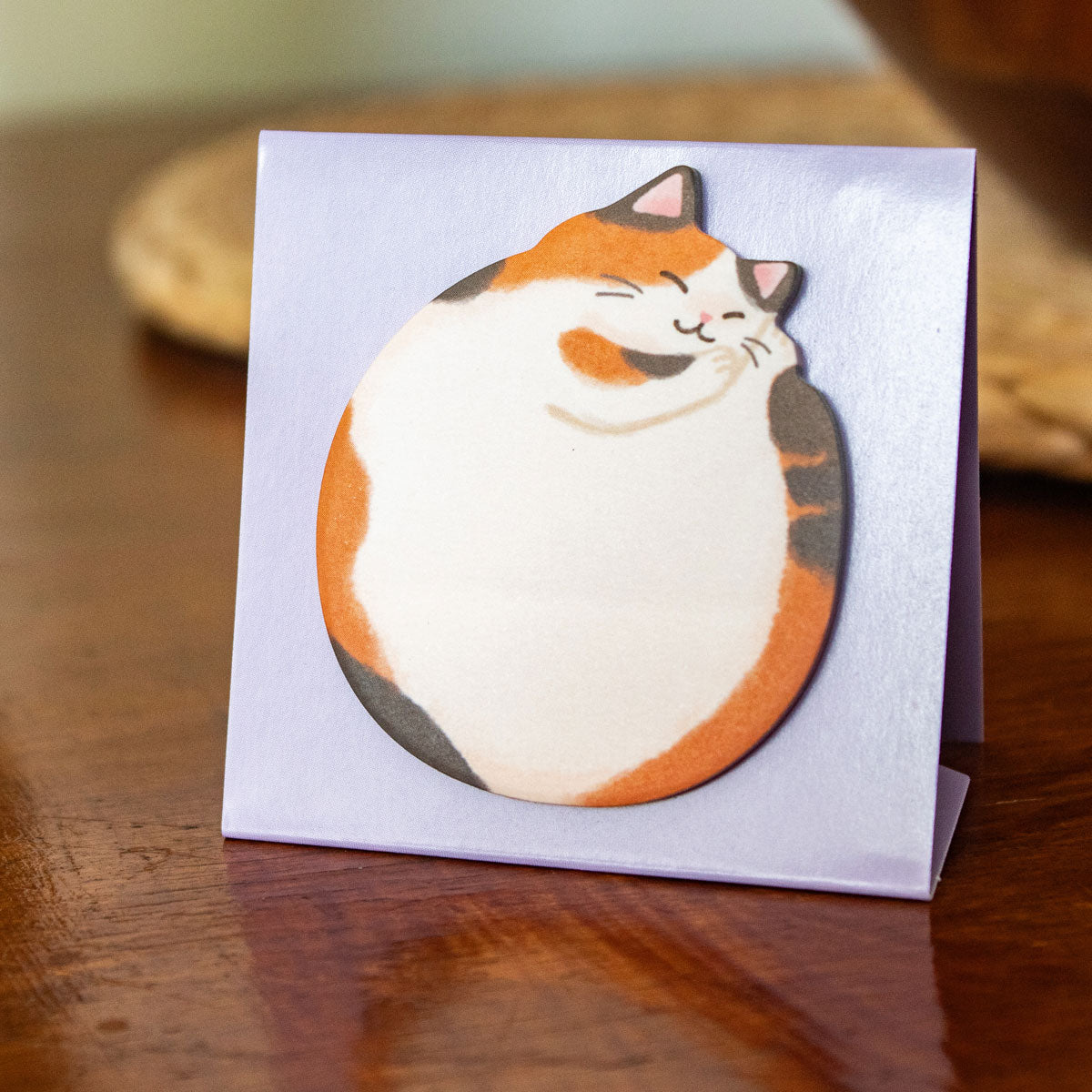 Post it gatto
